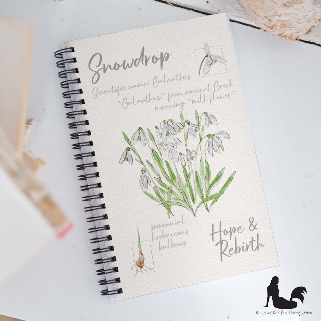Notebook - Snowdrop Flower Field Notes Spiral Notebook